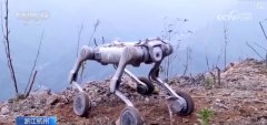 研究供给全流程办事支持